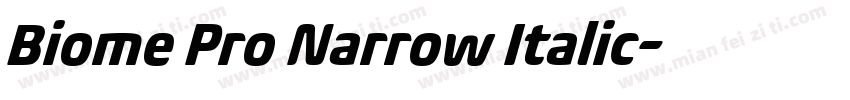 Biome Pro Narrow Italic字体转换